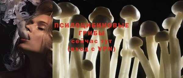 jwh Саяногорск