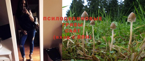 прущая мука Белоозёрский