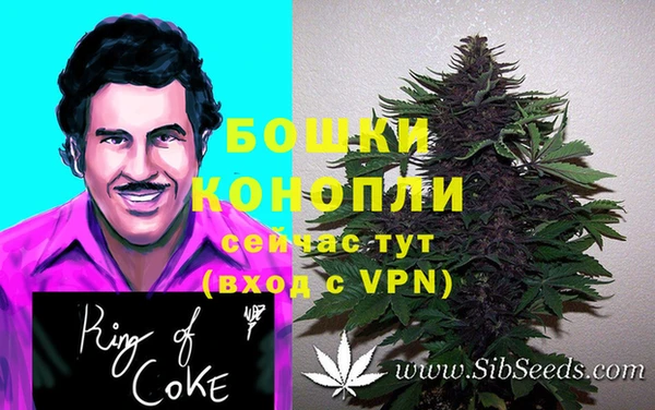 прущая мука Белокуриха