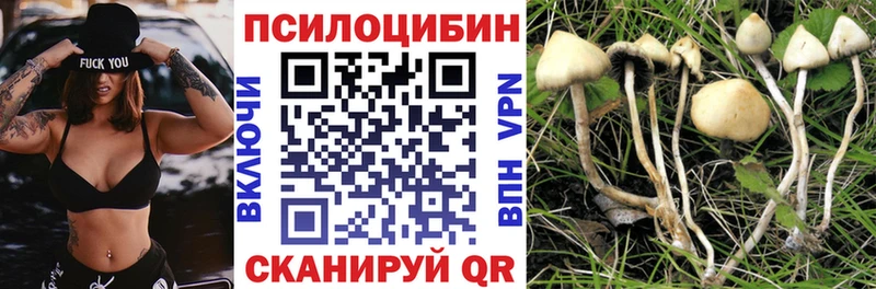 мега ТОР  Кукмор  Галлюциногенные грибы прущие грибы 